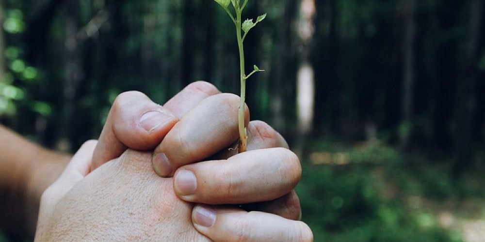 Proč propojujeme lektory, terapeuty a podnikatele na jednom místě?